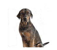 844434801