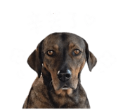 844434803