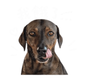 844434804