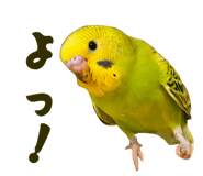 844435277