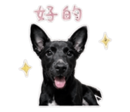 844435294