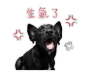 844435308