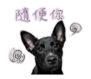 844435326