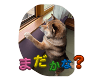 844435466