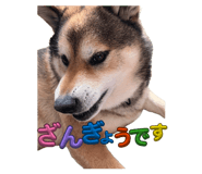 844435470