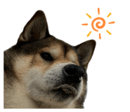 844435478