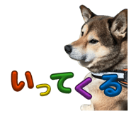 844435480