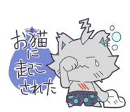 844435628