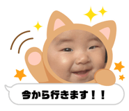 844435662