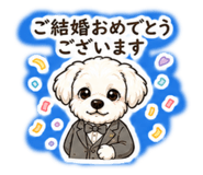 844435777