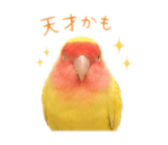 844435844