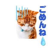 844435903