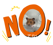 844436007