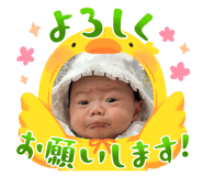 844436244