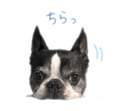 844436519