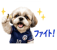 844436625