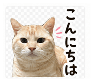 844437025
