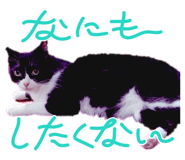 844437170