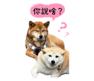 844438001