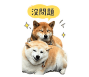 844438002