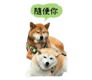 844438005