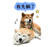 844438007