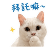 844438207
