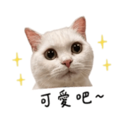 844438213