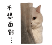 844438219