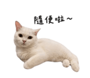844438221