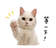 844438224