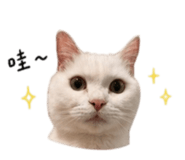 844438226