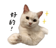 844438230