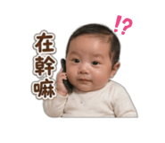 844438382