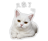 844438980