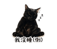 844439011