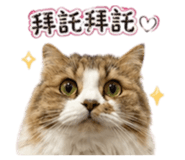 844439254