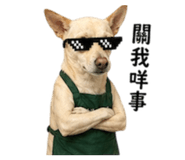 844439380