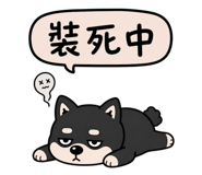 844439487