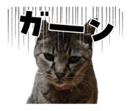 844440021