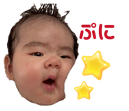 844440081