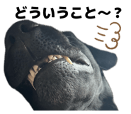 844440131