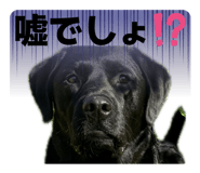 844440134