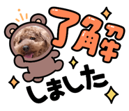 844440446