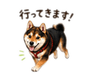 844440462