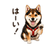 844440465