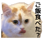 844440490