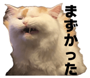 844440513
