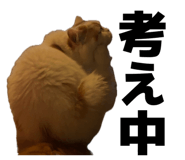 844440518