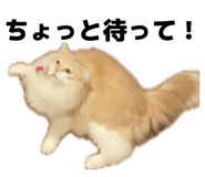 844440520